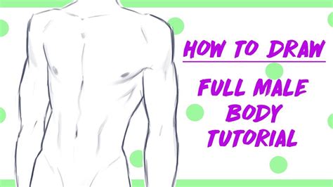 The top part of the torso should be wider than the bottom. . How to draw anime male body